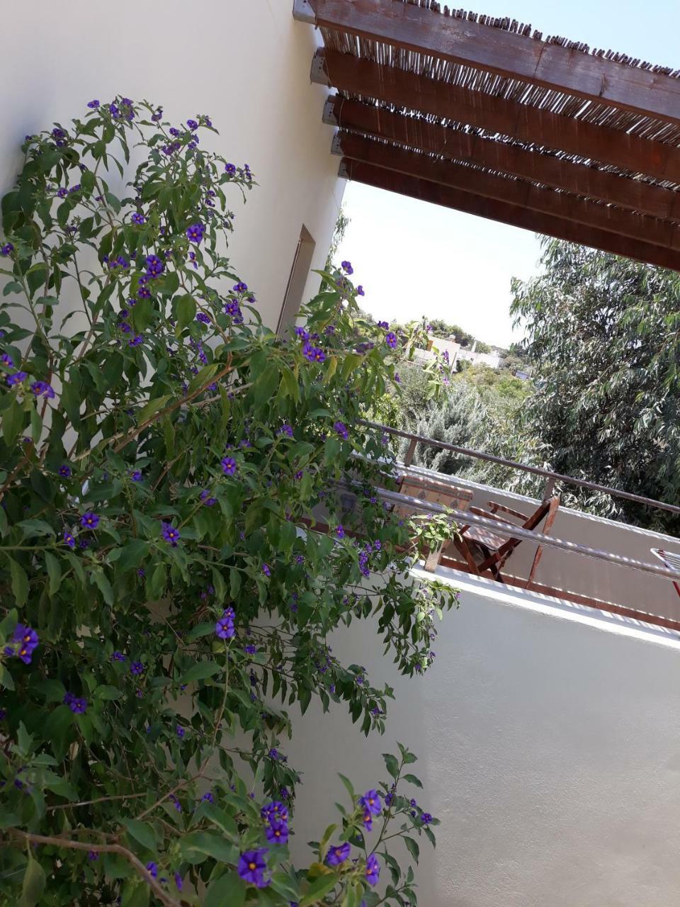 Vilana Studios Kalamos  Exterior photo