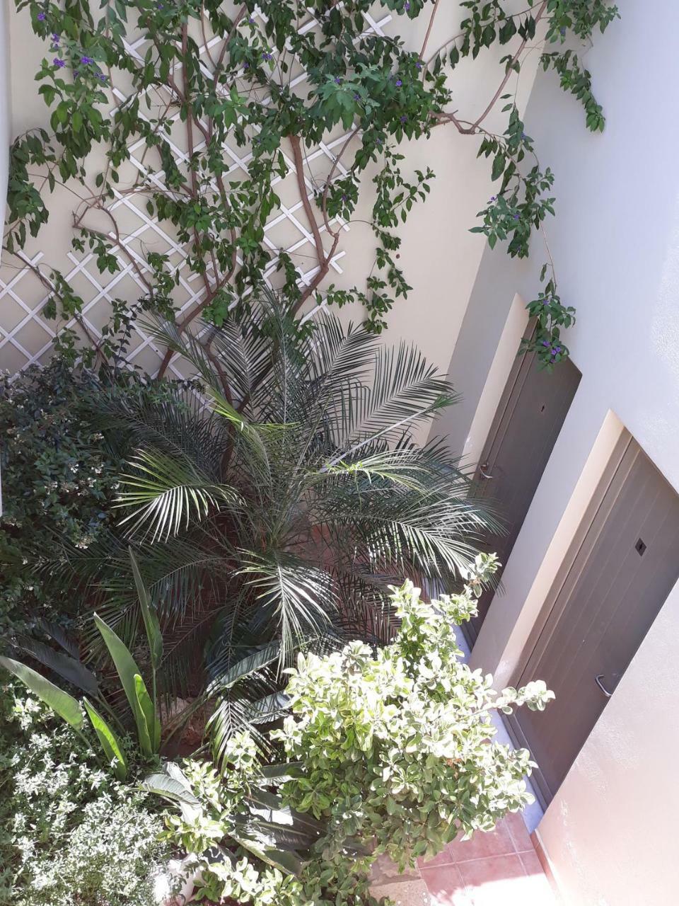 Vilana Studios Kalamos  Exterior photo